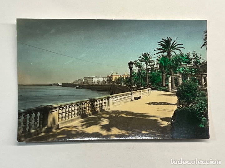 Postales: CADIZ. Postal iluminada No.16, Alameda Marques de Comillas. Edic. Sicilia (h.1960?) S/C