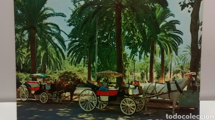Postales: MALAGA. COSTA DEL SOL. PASEO DEL PARQUE. EDISOL N&ordm;1019. SIN CIRCULAR