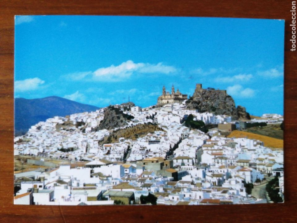 Postales: POSTAL OLVERA (C&Aacute;DIZ) - Foto 1