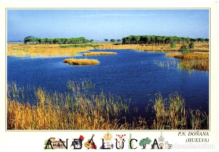 Postales: N&ordm; 1841-HUELVA. Parque de Do&ntilde;ana. Sin circular. EDICIONES A.M.