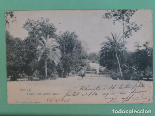 Postales: SEVILLA PARQUE DE MARIA LUISA - Foto 1