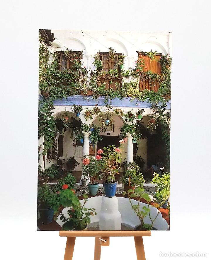 Postales: Postal 314 Sevilla - Foto 1