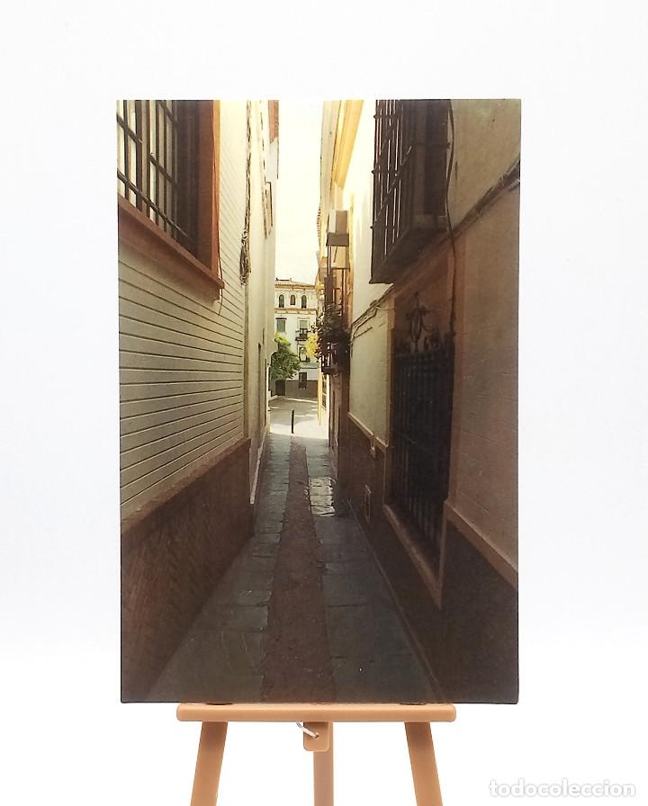 Postales: Postal 279 Sevilla - Foto 1