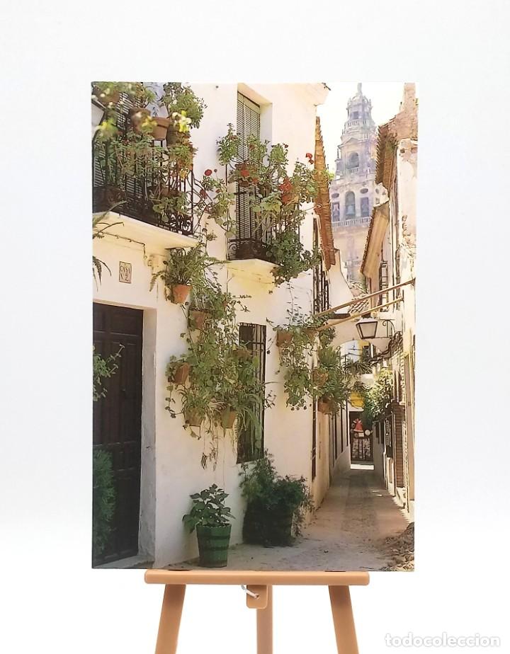 Postales: Postal 313 Sevilla - Foto 1