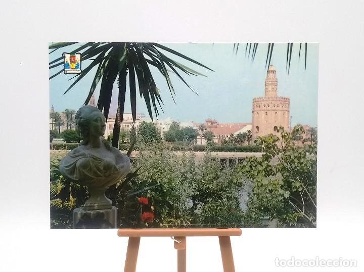 Postales: Postal 5513 Sevilla - Foto 1
