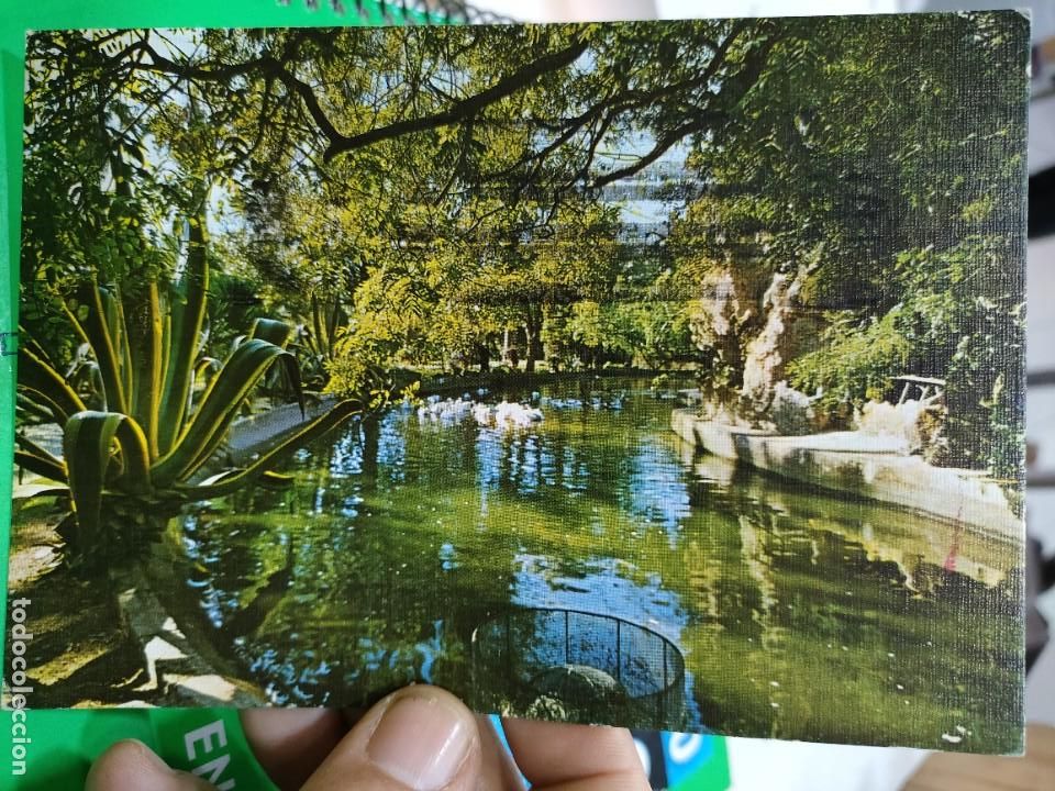 Postales: Postal CADIZ Parque de Genov&eacute;s Estanque N 67 SICILIA 1977 Escrita y Sellada