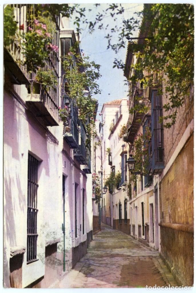 Postales: N&ordm; 18-SEVILLA. La calle de la Pimienta. Barrio de Santa Cruz. Circulada en 1964. ED. DISTR.PAPELES..