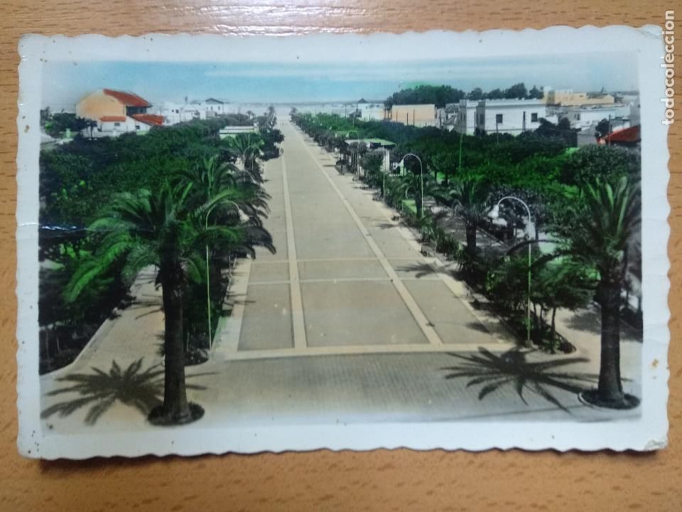 Postales: SANLUCAR DE BARRADEMA. CADIZ. PASEO DE LA CALZADA. EDICIONES ARRIBAS N&ordm; 53.