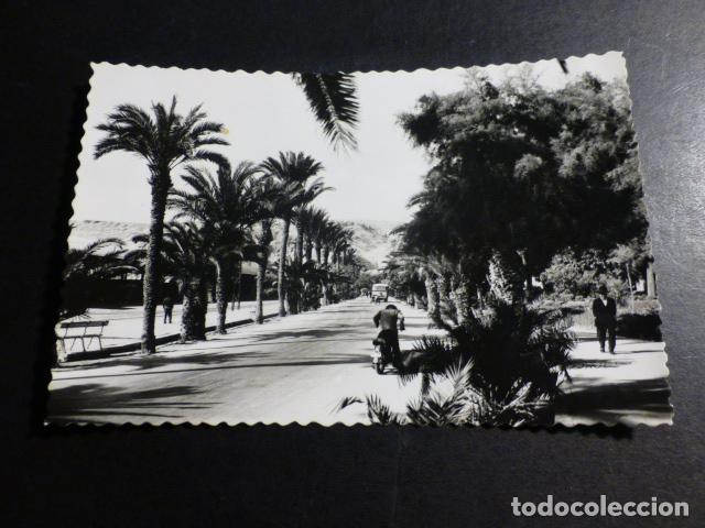 Postcards: ALMERIA PASEO DEL PUERTO