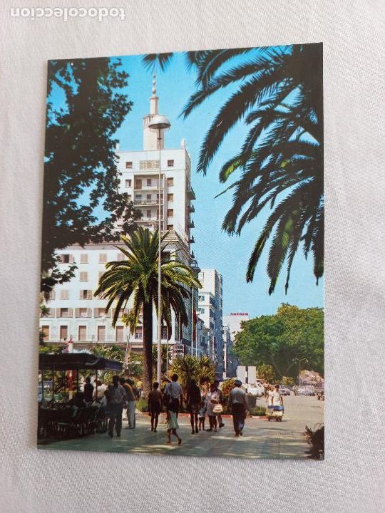 Postales: PLAZA DEL GENERAL QUEIPO DE LLANO. MALAGA COSTA DEL SOL 105. SAETA. POSTAL SIN CIRCULAR