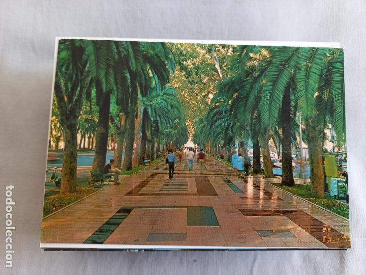Postales: PASEO DEL PARQUE. MALAGA COSTA DEL SOL 1364 BEASCOA. POSTAL SIN CIRCULAR