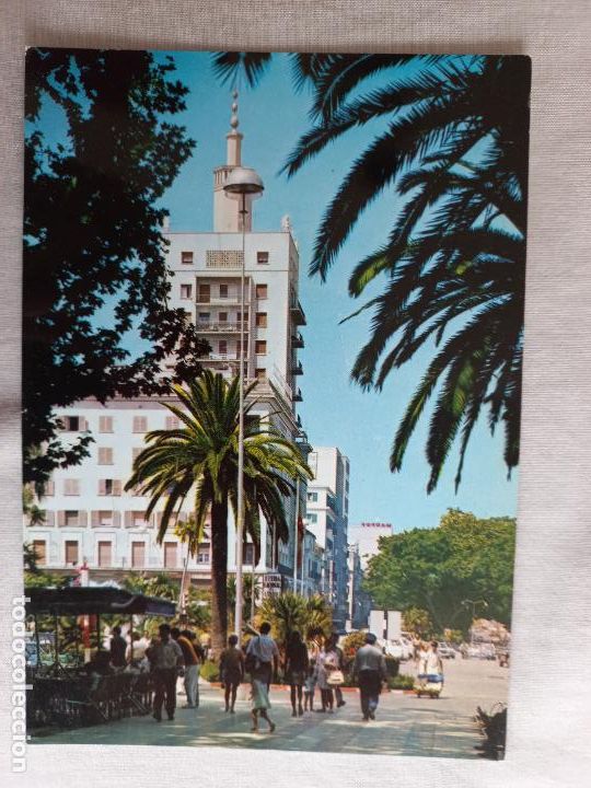 Postales: N&ordm; 105 PASEO DEL GENERAL QUEIPO DE LLANO. MALAGA COSTA DEL SOL EDITORIAL SAETA SIN CIRCULAR
