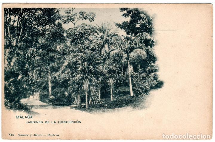 Postais: PRECIOSA POSTAL - MALAGA - JARDINES DE LA CONCEPCION - 836 HAUSER Y MENET