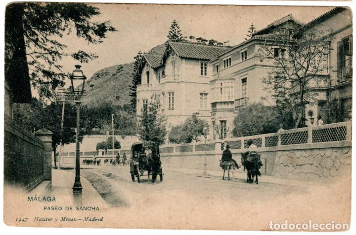 Postales: PRECIOSA POSTAL - MALAGA - PASEO DE SANCHA - 1447 HAUSER Y MENET
