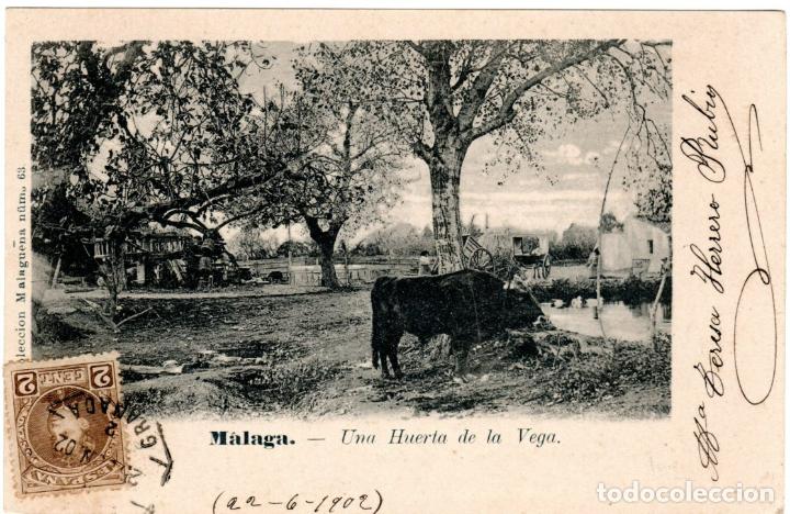 Postales: PRECIOSA POSTAL - MALAGA - UNA HUERTA DE LA VEGA - COLECCION MALAGUE&Ntilde;A N&Uacute;M. 63