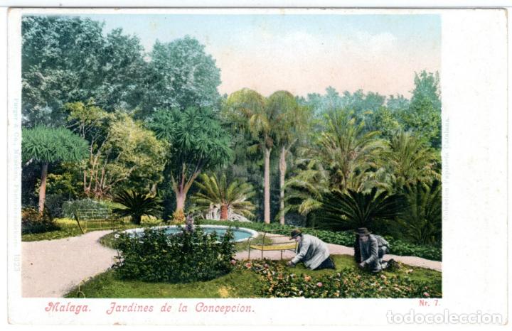 Postales: PRECIOSA POSTAL - MALAGA - JARDINES DE LA CONCEPCION - PURGER & Co.1823