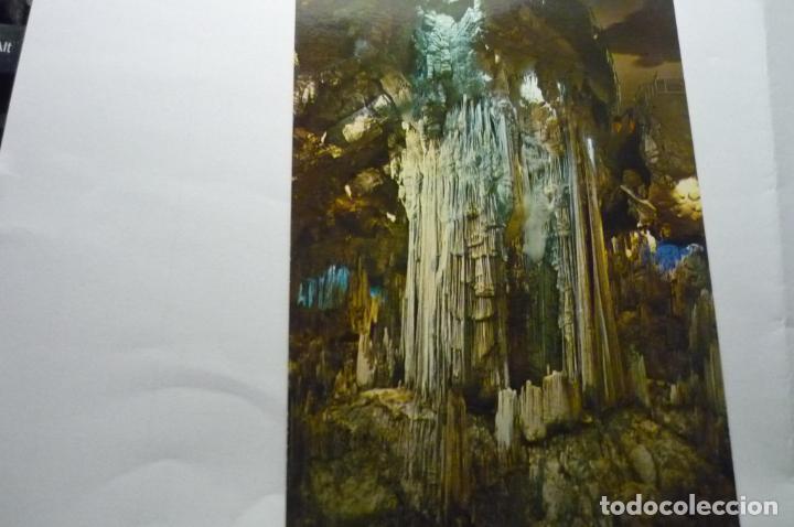 Postales: postal cueva de nerja.-columna sala cataclismo