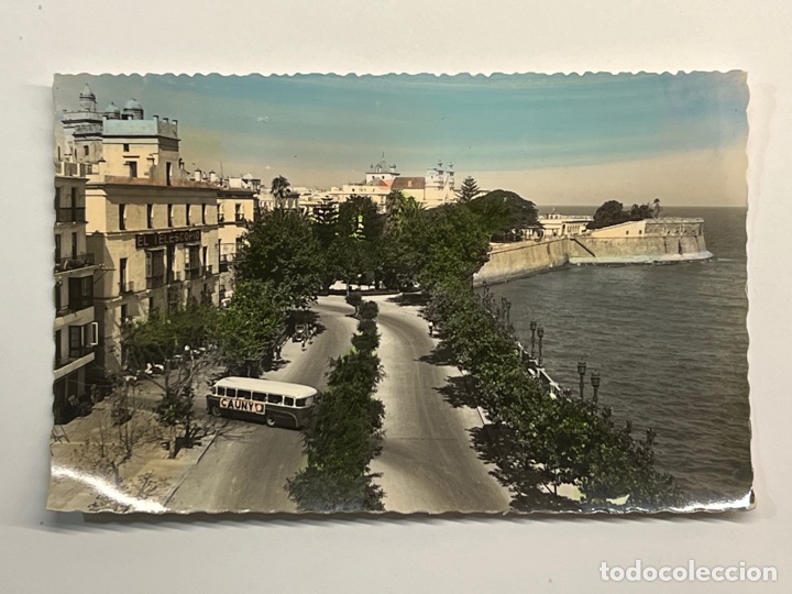 Postales: CADIZ Postal Coloreada No.5, Alameda del Marques de Comillas. Edic., Garcia Garrabella (h.1950?) S/C