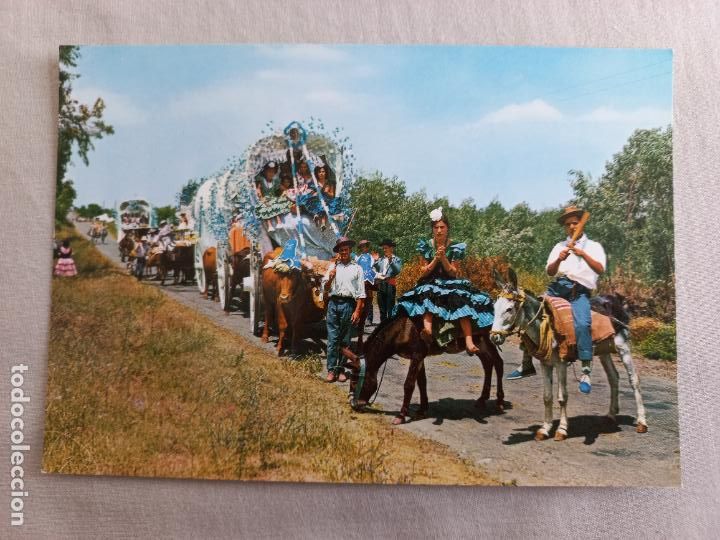 Postales: N&ordm; 8 ANDALUCIA ROMERIA DEL ROCIO. EDICIONES GARCIA GARRABELLA. A&Ntilde;OS 60 SIN CIRCULAR