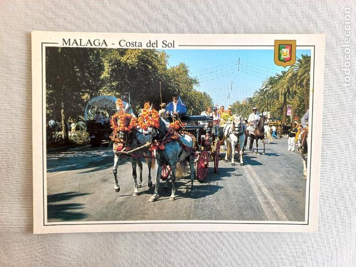 Postales: N&ordm; 41. MALAGA COSTA DEL SOL. PASEO DE CABALLOS EN EL PARQUE. POSTAL EDICIONES FISA SIN CIRCULAR