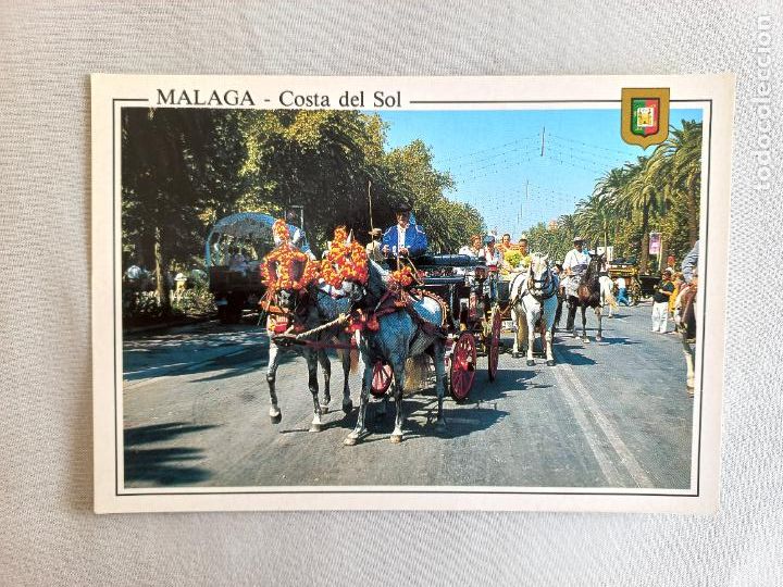 Postales: N&ordm; 41. MALAGA COSTA DEL SOL. PASEO DE CABALLOS EN EL PARQUE. POSTAL EDICIONES FISA SIN CIRCULAR