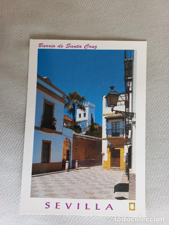 Postcards: POSTAL SEVILLA N&ordm; 146. BARRIO DE STA. CRUZ CALLE VIDA 2002 EDICIONES ESCUDO DE ORO FISA SIN CIRCULAR