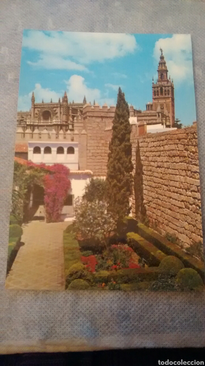 Postais: SEVILLA. REALES ALCAZARES. PATIO DE LEON. PATRIMONIO NACIONAL N&ordm; 103. SIN CIRCULAR