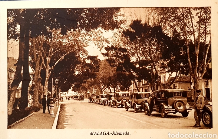 Postales: POSTAL MALAGA. ALAMEDA. ROISIN. NO CIRCULADA
