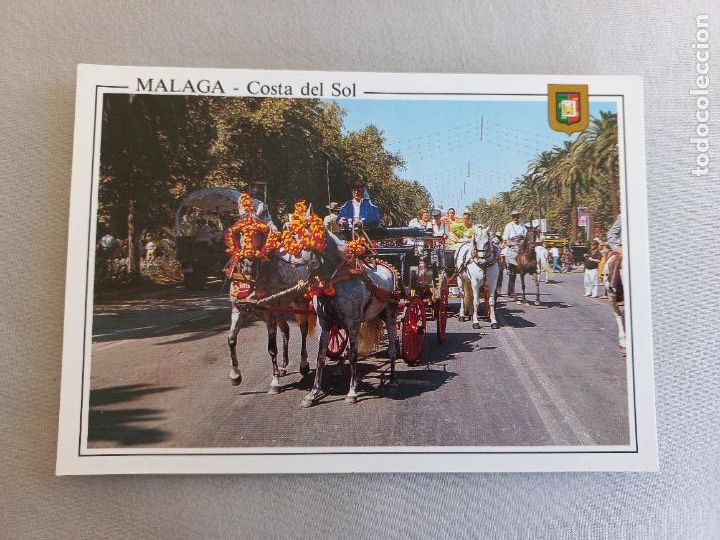 Postales: POSTAL N&ordm; 41 PASEO CABALLOS EN PARQUE MALAGA COSTA DEL SOL EDICIONES DOMINGUEZ FISA ESCUDO ORO. S/C
