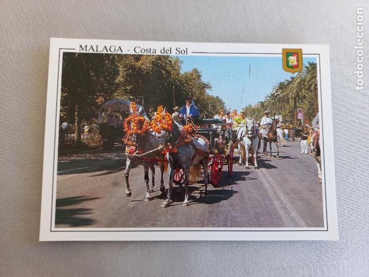 Postales: POSTAL N&ordm; 41 PASEO CABALLOS EN PARQUE MALAGA COSTA DEL SOL EDICIONES DOMINGUEZ FISA ESCUDO ORO. S/C