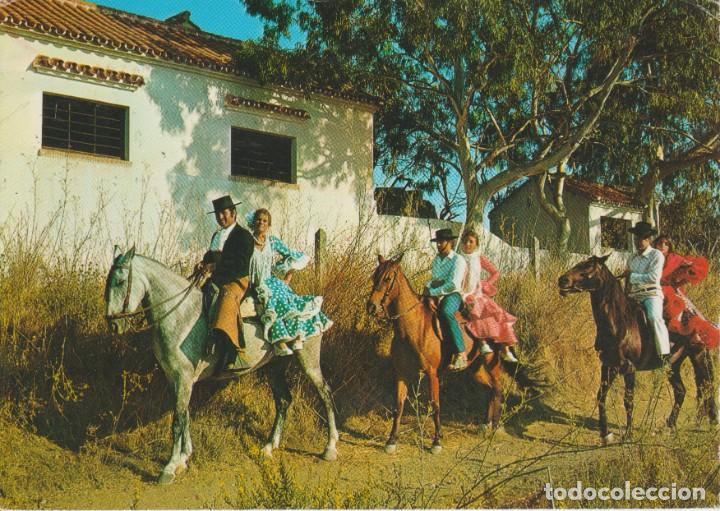 Postales: (1882) COSTA DEL SOL. FIESTA DE LA ROMERIA. TRAJES TIPICOS. CABALLOS