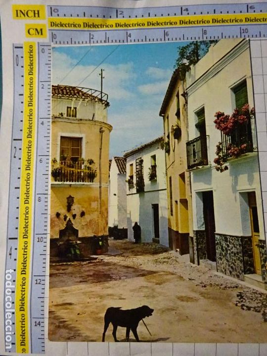 Postkarten: POSTAL DE M&Aacute;LAGA. A&Ntilde;O 1972. COIN PLAZA LUNA PERRO 621 VALDIVIESO. 169