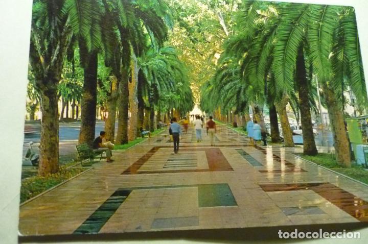 Postales: postal malaga paseo del parque