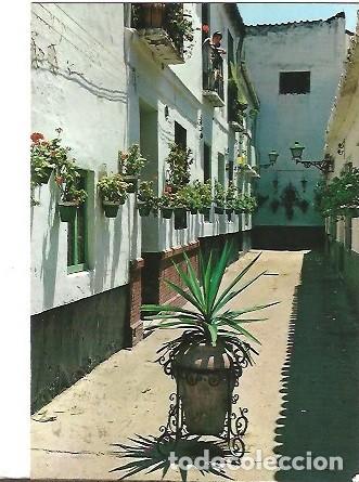Postcards: POSTAL A COLOR 75 MALAGA CALLE JAUREGUI