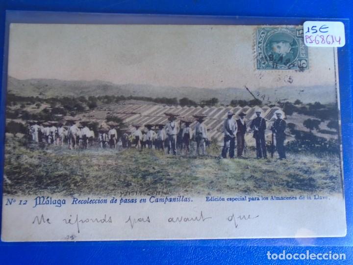 Postales: (PS-68614)POSTAL DE MALAGA-RECOLECCION DE PASAS EN CAMPANILLAS.EDICION ALMACENES DE LA LLAVE