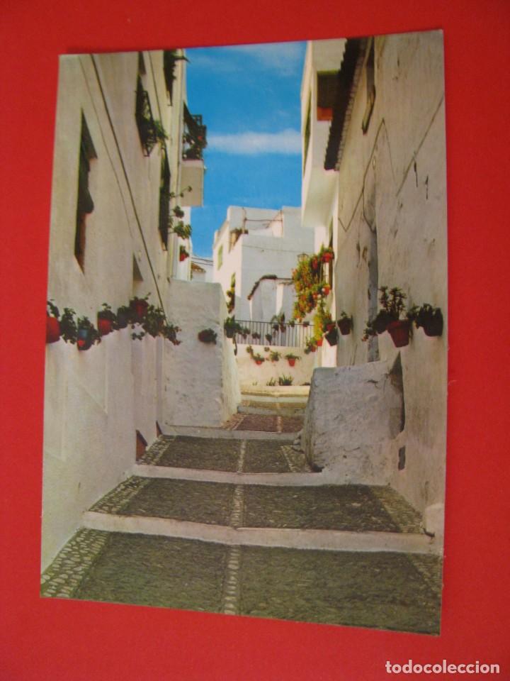 Postales: POSTAL DE ALMU&Ntilde;ECAR. TROPICO DE EUROPA. CALLE TIPICA. BEASCOA.