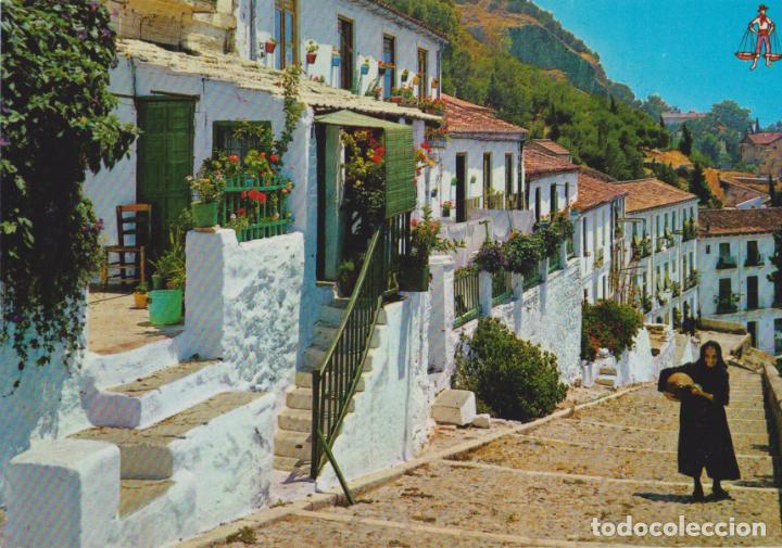 Postales: MALAGA, SUBIDA A GIBRALFARO &ndash; EDITA BEASCOA N&ordm;913 &ndash; EDITADA EN 1963 &ndash; ESCRITA
