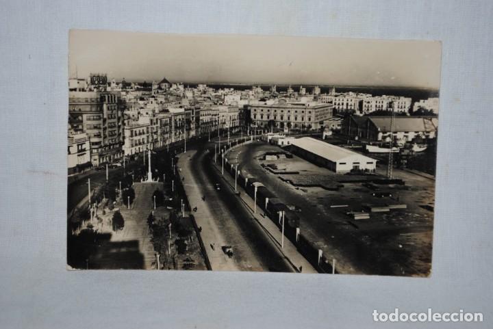 Postales: CADIZ , AVENIDA RAMON DE CARRANZA .