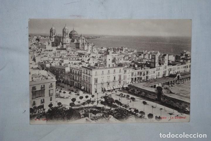 Postales: CADIZ , VISTA GENERAL CON LA CATEDRAL.