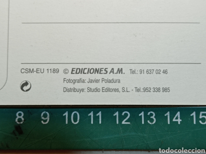 Postales: POSTAL COSTA DEL SOL MARBELLA EDICIONES A.M. - Foto 3