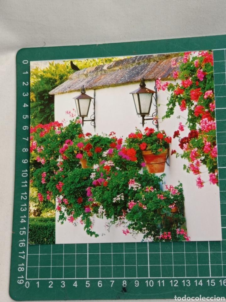 Postales: POSTAL COSTA DEL SOL FACHADA T&Iacute;PICA EDICIONES A.M. SIN CIRCULAR