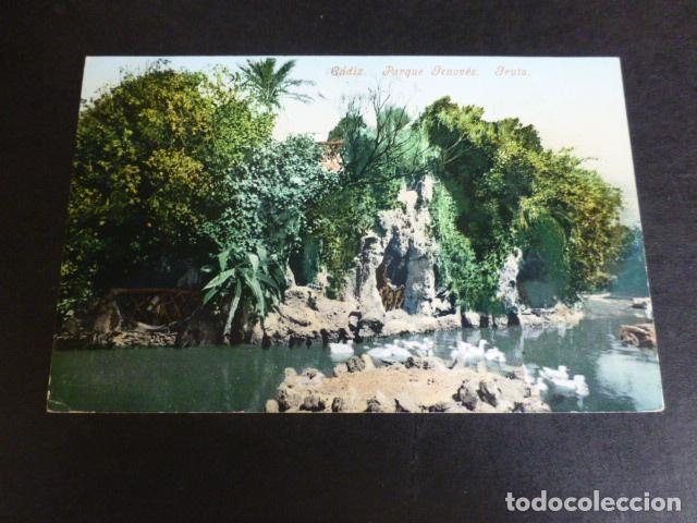 Postais: CADIZ PARQUE GENOVES GRUTA ED. PURGER