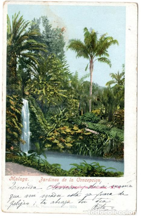 Postais: PRECIOSA POSTAL - MALAGA - JARDINES DE LA CONCEPCION - COLECCION PAPELERIA CATALANA - N&ordf;. 8 - PURGER