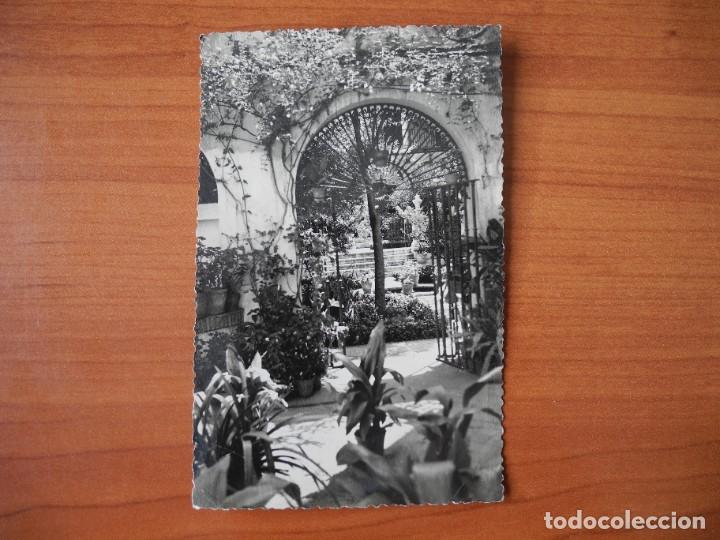 Postales: Malaga. Jardines del Palacio Episcopal. Ed. Diego Cort&eacute;s n. 286 Circulada 1958