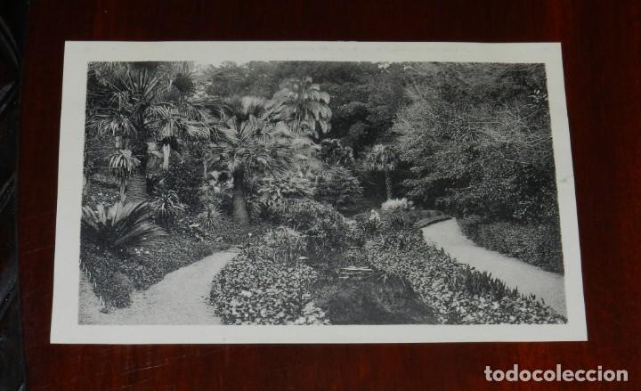 Postales: POSTAL DE MALAGA, N.37, JARDINES DE LA CONCEPCION, ED. L. ROISIN, NO CIRCULADA.