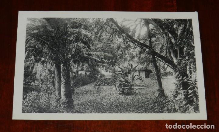 Postales: POSTAL DE MALAGA, N.38, JARDINES DE LA CONCEPCION, ED. L. ROISIN, NO CIRCULADA.