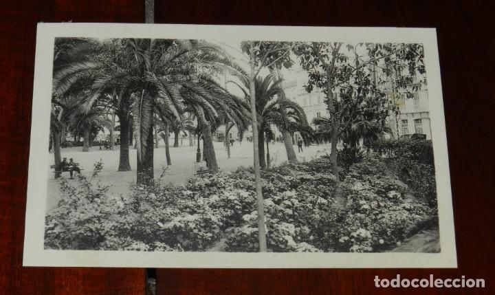 Postales: POSTAL DE MALAGA, N.28, PARQUE, ED. L. ROISIN, NO CIRCULADA.