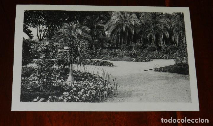 Postales: POSTAL DE MALAGA, N.31, PARQUE, ED. L. ROISIN, NO CIRCULADA.