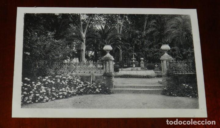 Postales: POSTAL DE MALAGA, N.31, PARQUE, GLORIETA DE LA PROVINCIA, ED. L. ROISIN, NO CIRCULADA.