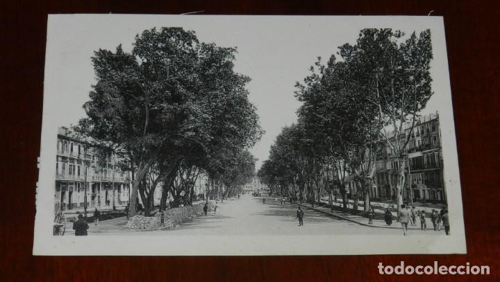 Postales: POSTAL DE MALAGA, N.25, ALAMEDA DE ALFONSO XII, ED. L. ROISIN, NO CIRCULADA.